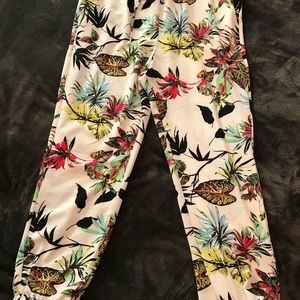 Great, transitional jogger